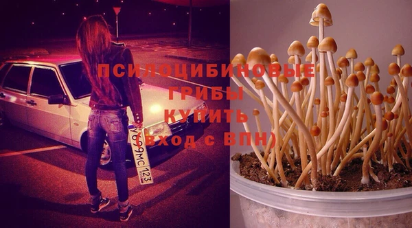 трава Алексеевка