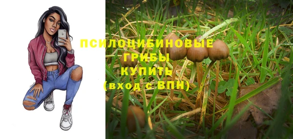 бутират Пролетарск