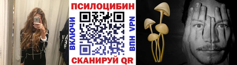 Псилоцибиновые грибы MAGIC MUSHROOMS  Томари 
